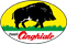 Cinghiale