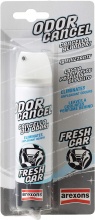 Arexons 1928 Deodorante Auto spray elimina odori profumo Fresh Car  Odor Cancel