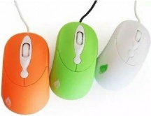 Black box 09735 Mouse USB-A Ottico Ambidestro 3 Tasti con Rotella colore Verde