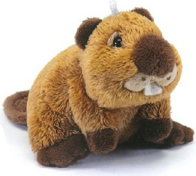 Peluche castoro online