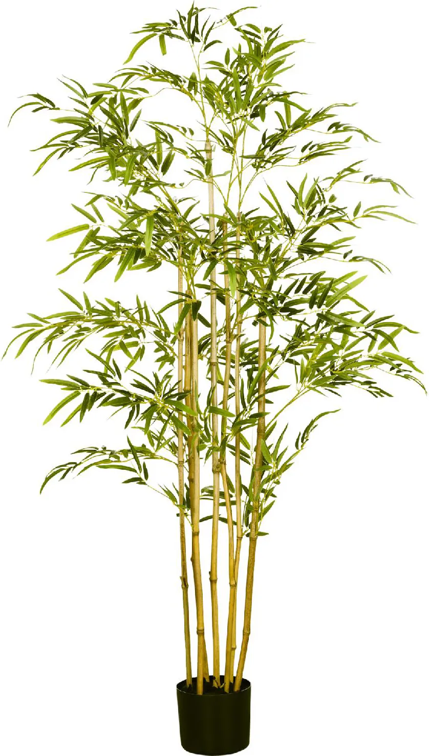 VivaGarden Bambù in Vaso Artificiale Alto 150cm Pianta Finta Decorativa per  Interno ed Esterno Verde - 841VGGN