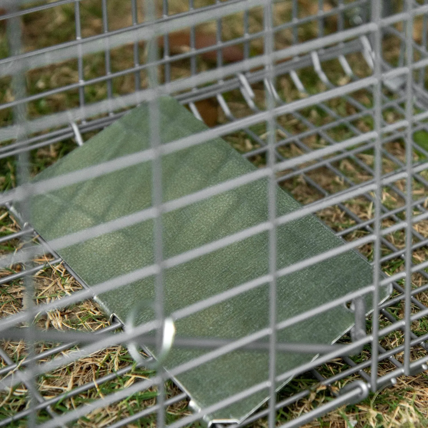 vidaXL Trappola per Uccelli Verde 30 cm in Acciaio